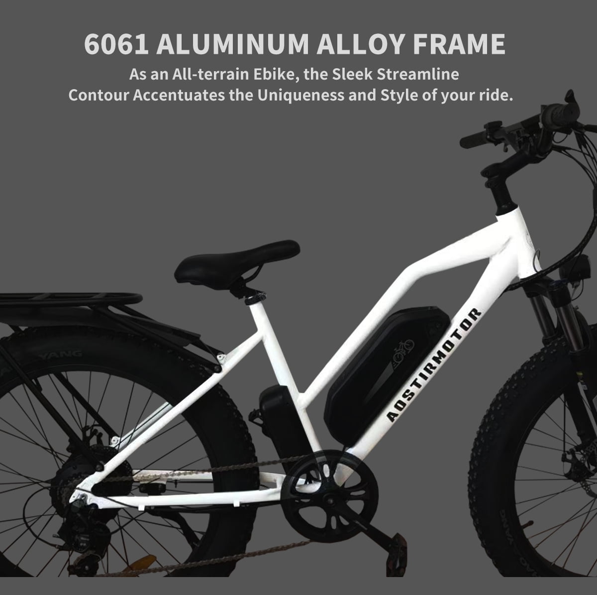 LISUEYNE Electric Bike, 750W E-Bike, Removable 48V 13Ah Li-Ion, 21 Speed Gears, LCD Display, Detachable Rear Rack Fender, White