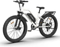 LISUEYNE Electric Bike, 750W E-Bike, Removable 48V 13Ah Li-Ion, 21 Speed Gears, LCD Display, Detachable Rear Rack Fender, White