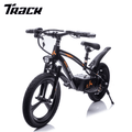 Track Seven 24V Kids Electric Dirt Bike, Ride on Mini Bike, 300W Super Power Motor, Up to 12.43 MPH, 16" Wheels, Adjustable Seat Height, Bright Headlight, Hand-Operated Brakes for Ages 5+, Black