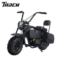 Track 7 36V Mini E-Bike for Adults & Teens , 1000W Motor Electrical Powered Motorcycle, 14.5" Tires, Up to 22 Mph, Off-Road and Trail Riding, Weight Support Up to 185 LBS, Black