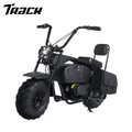 Track 7  36V Powered Motorcycle for Kids, 1000W Electric Kids Dirt Bike,Max Speed to 22 MPH, Electric Mini Bike with Large Storage, Headlights, Up to 185lbs, Age 8+